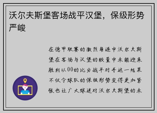 沃尔夫斯堡客场战平汉堡，保级形势严峻